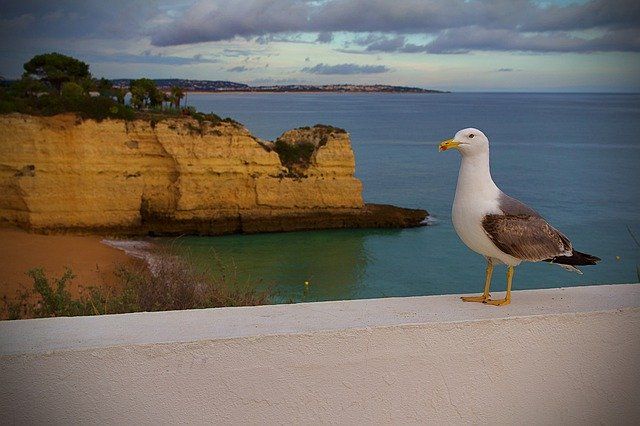 Visitar el sur de Portugal en autocaravana 4 albufeira
