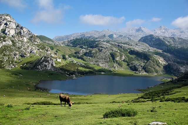 asturiasss