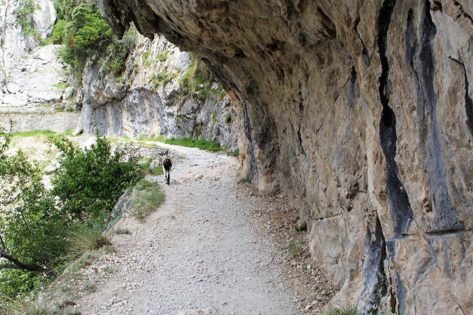 Ruta del cares autocaravana